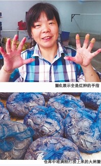 陽(yáng)澄湖大閘蟹開(kāi)湖:吐沙吐一天 蟹商幾小時(shí)賣數(shù)千斤