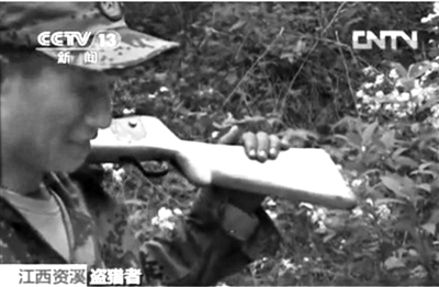 記者在資溪縣一林場(chǎng)看到三名盜獵者。央視截屏