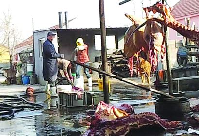 屠宰戶(hù):賣(mài)肉不注水沒(méi)錢(qián)掙 注水肉運(yùn)往南山市場(chǎng)