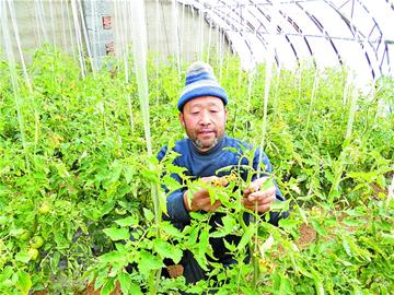 那些年，我們那樣學雷鋒