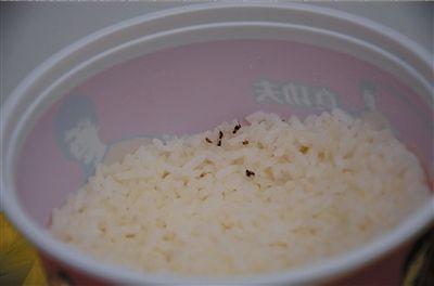 昨天中午12點(diǎn)多，市民戴先生在真功夫快餐安貞店用餐時(shí)，在米飯中發(fā)現(xiàn)數(shù)只小蟑螂。戴先生和店方交涉多時(shí)后，店方將出現(xiàn)蟑螂的套餐費(fèi)退還。 京華時(shí)報(bào)實(shí)習(xí)記者 趙思衡 攝/視頻